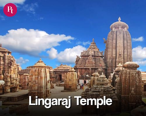 1.1 Lingraj